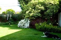 2010-04-25 Susie's garden